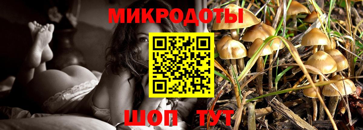 Псилоцибиновые грибы Cubensis Славянск-на-Кубани